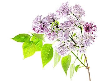 又一主创出走 索尼在线游戏《Fairgame$》再添阴霾